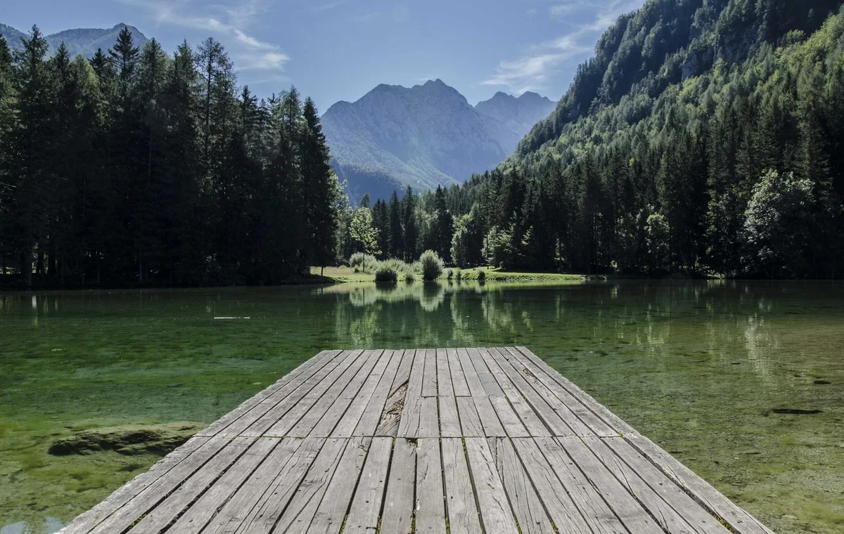 Natural editorial image for AI Billing Dispute Resolution Guide