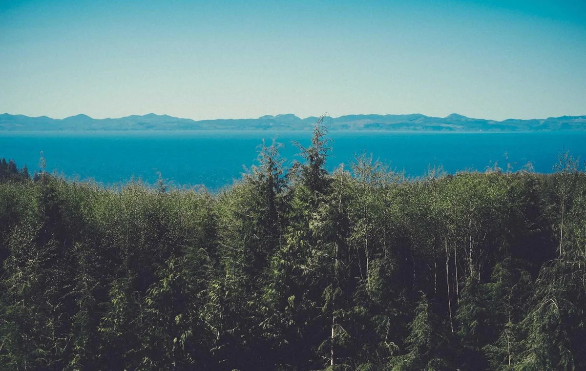 Natural editorial image for AI Demand Forecasting for Ecommerce