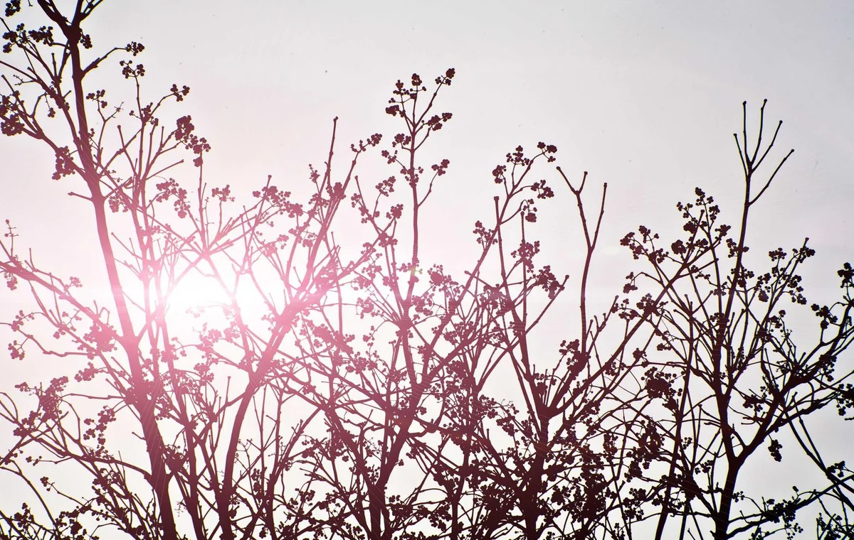 Natural editorial image for AI Mobile Push Notification Optimization