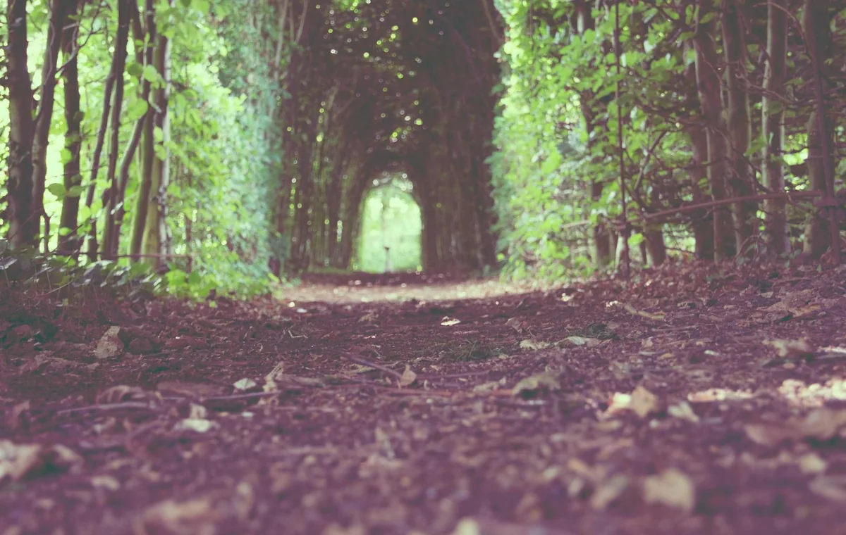 Natural editorial image for Bug Priority Triage System