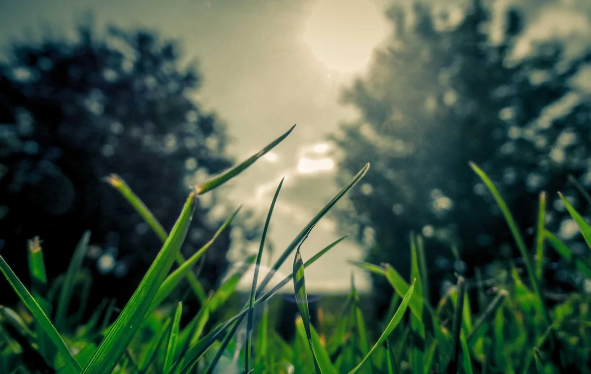 Natural editorial image for Founder Dashboard Automation System