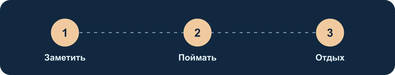 Игровой цикл: заметить, поймать, отдохнуть: Заметить, Поймать, Отдых