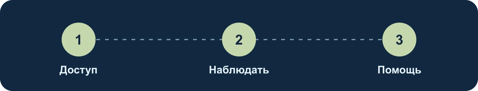 Укрытие кошки: доступ, наблюдение, помощь: Доступ, Наблюдать, Помощь