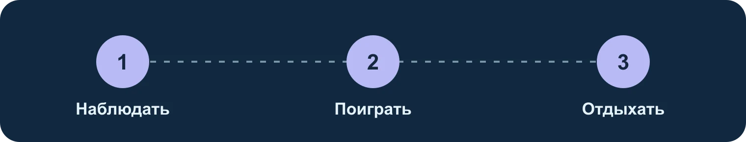 Спокойная ночь: наблюдение, активность, сон: Наблюдать, Поиграть, Отдыхать