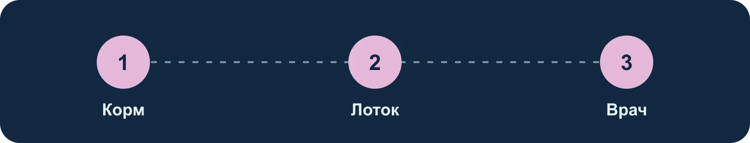 Котёнок: корм, лоток, врач: Корм, Лоток, Врач