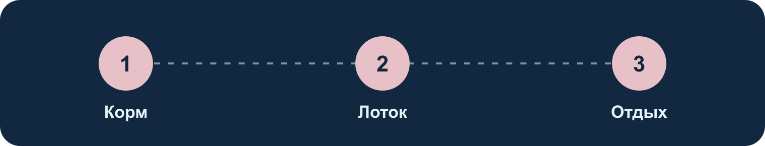 Корм, лоток, отдых: Корм, Лоток, Отдых