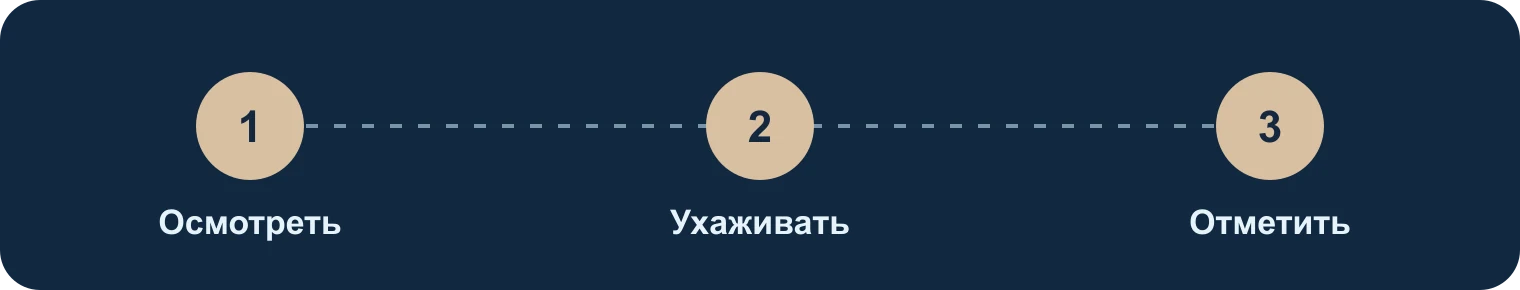 Осмотреть, ухаживать, отметить: Осмотреть, Ухаживать, Отметить