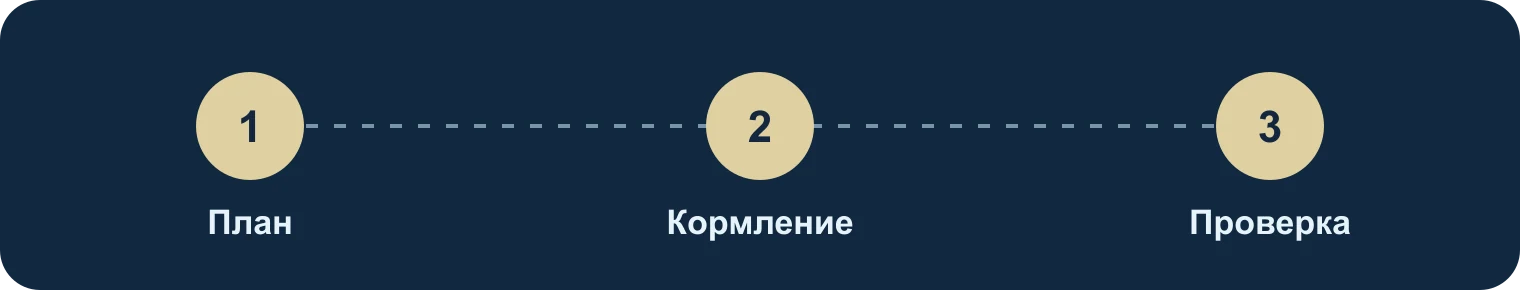 План, кормление, проверка: План, Кормление, Проверка