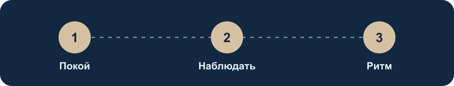 Покой, наблюдение, привычка: Покой, Наблюдать, Ритм